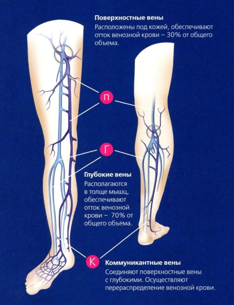 Вены нижних конечностей поверхностные и глубокие фото